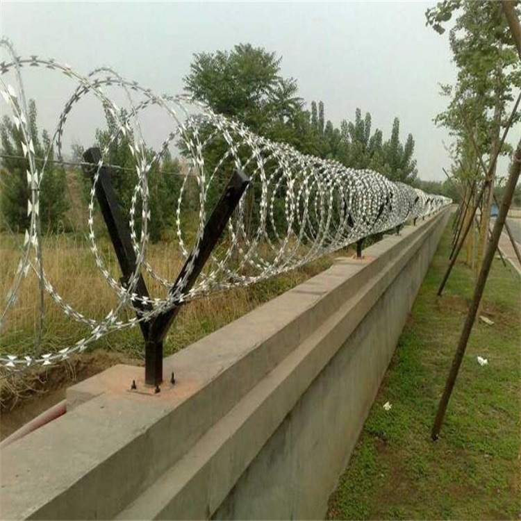 上海帶刺圍墻網(wǎng)圖片4