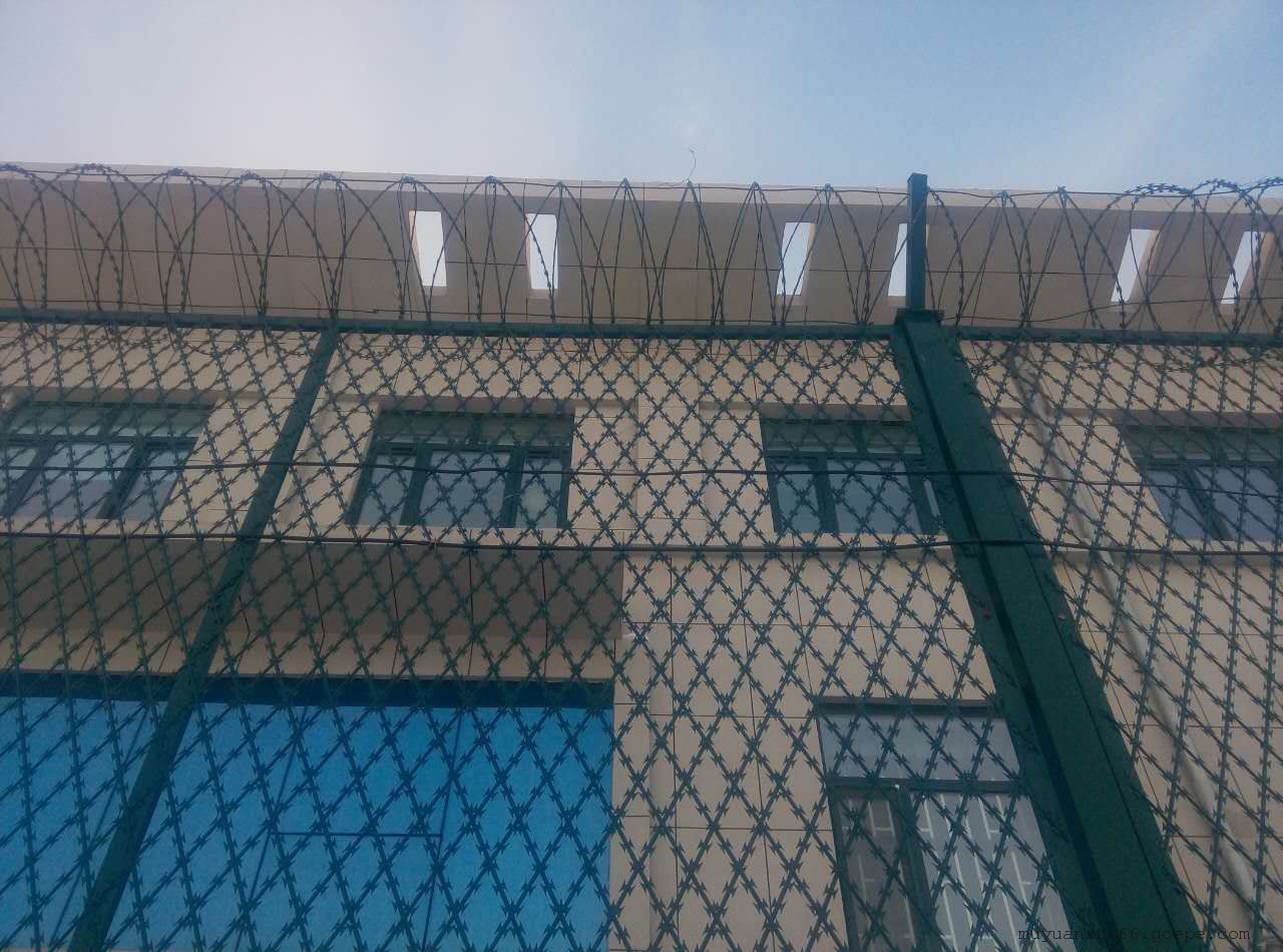 監獄防攀爬金屬隔離網圖片4