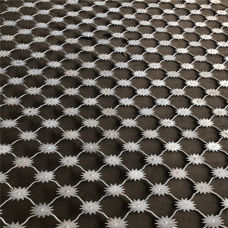 梅花刺片防護網圖片2