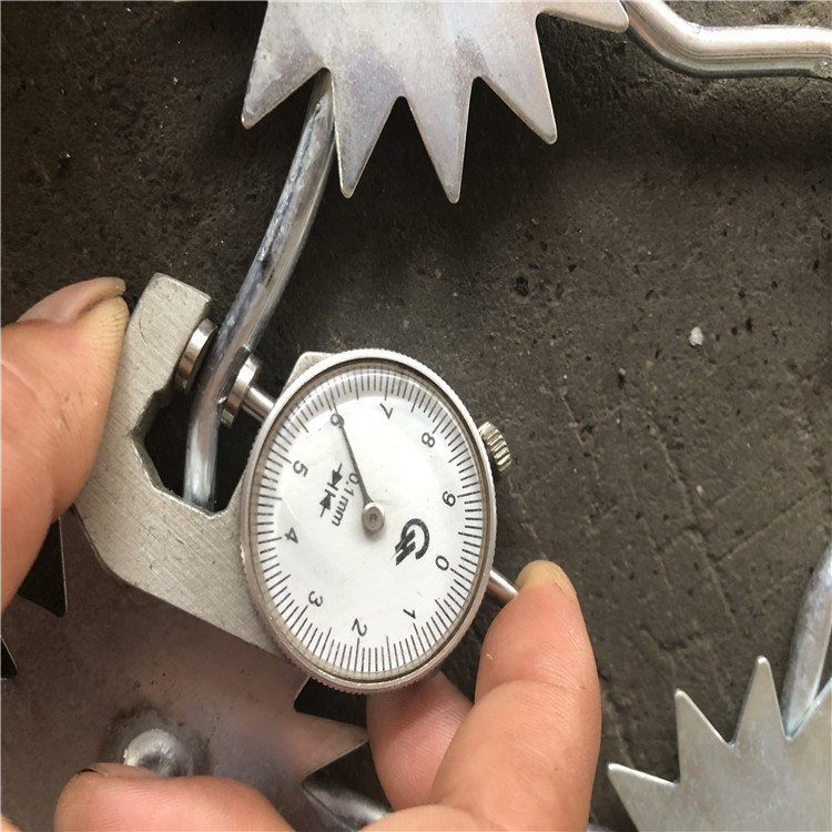 梅花刺片防護網圖片3