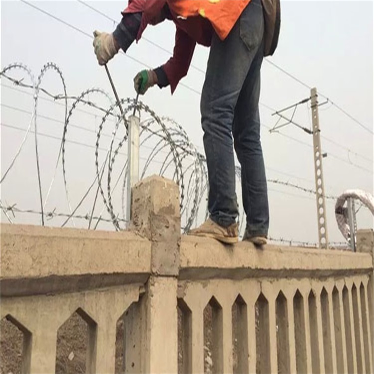 雙螺旋刀片刺繩圖片2