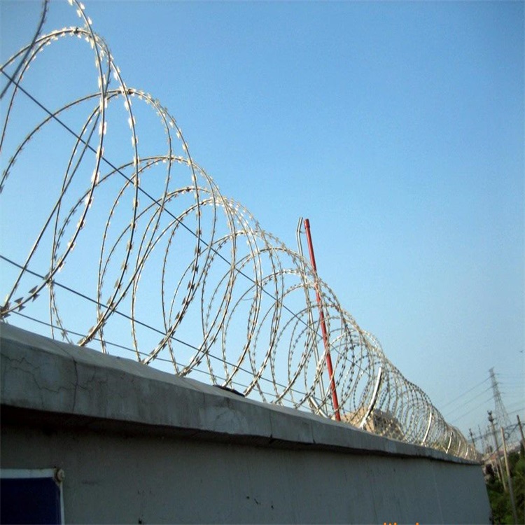 雙螺旋刀片刺繩圖片3