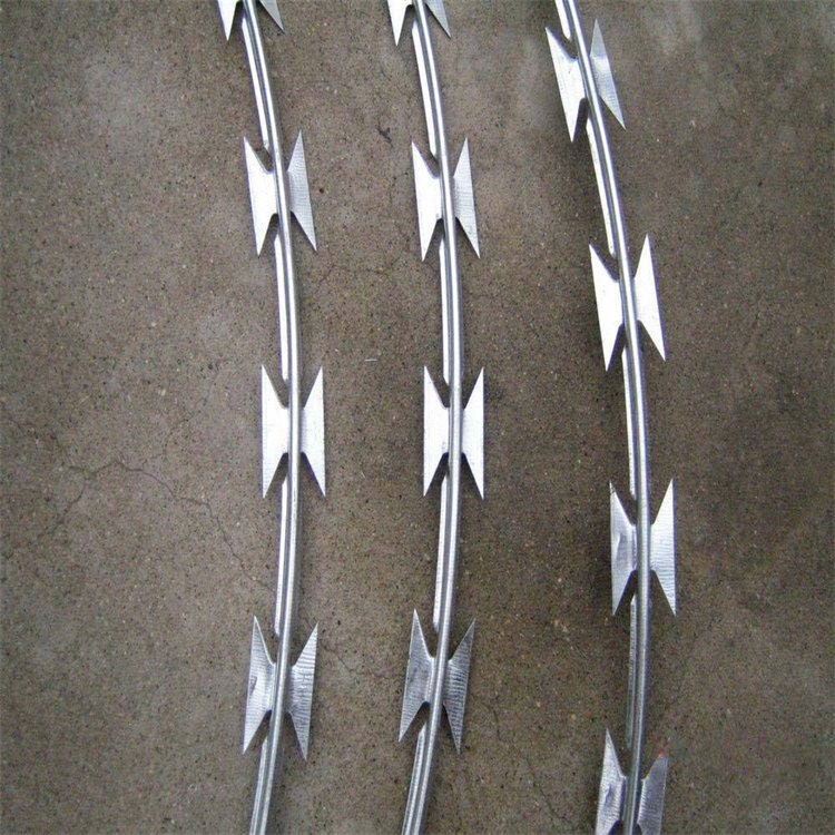 直條型刀片刺網(wǎng)圖片4