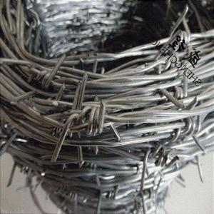 上海刺鐵絲隔離柵圖片2