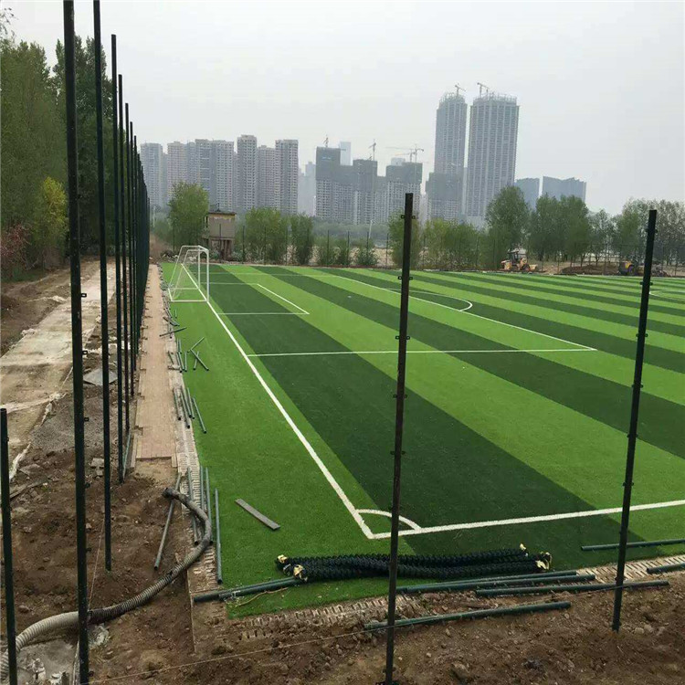 上海扁鐵式球場圍網(wǎng)圖片4