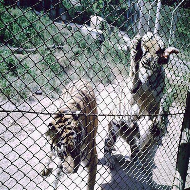 上海動(dòng)物園圍欄網(wǎng)圖片2