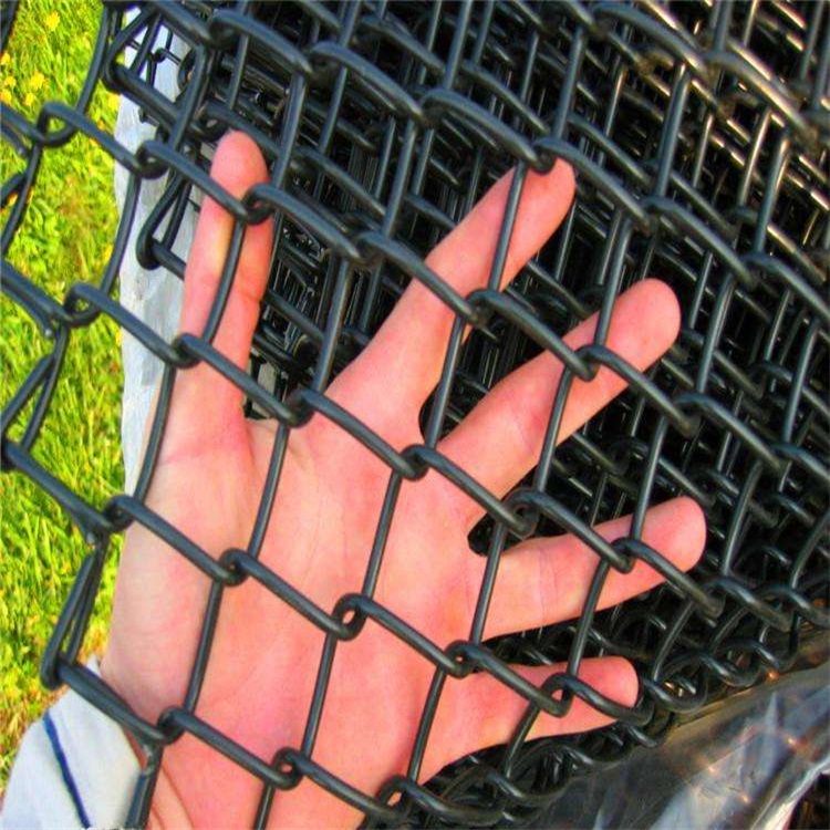 上海動(dòng)物園圍欄網(wǎng)圖片3