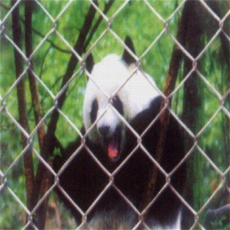上海動(dòng)物園圍欄網(wǎng)圖片4