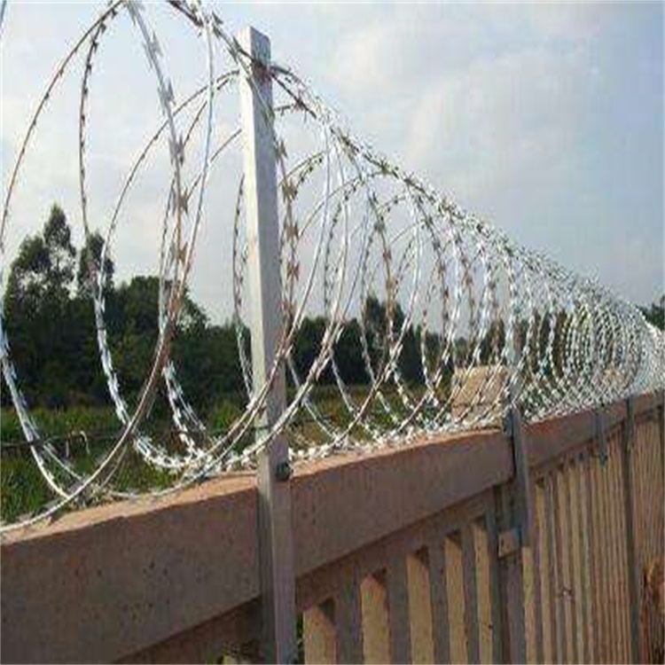 高鐵刺絲滾籠圖片1