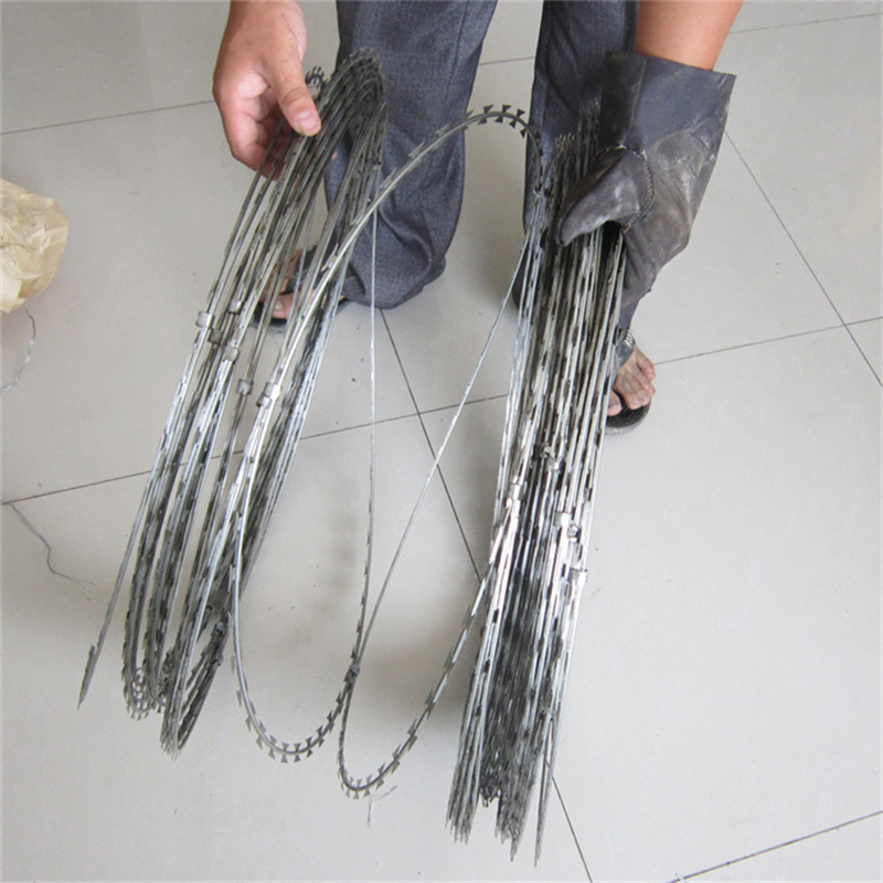 監獄蛇腹形刀刺隔離網圖片2