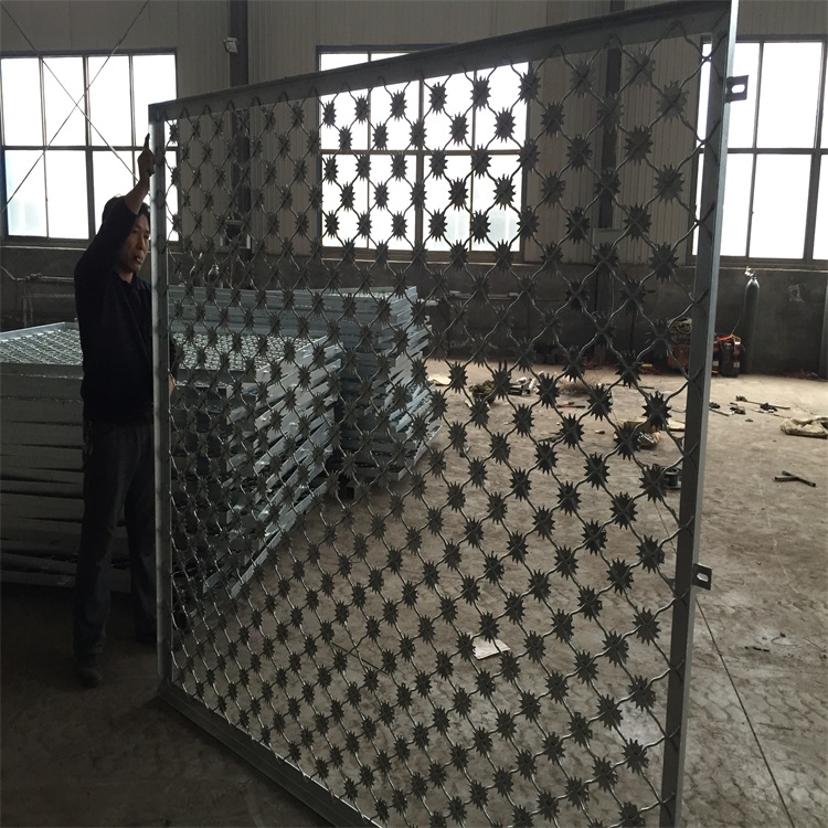 太陽花刺片美格網(wǎng)圖片4