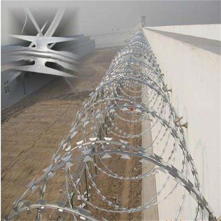 不銹鋼刺繩護欄網圖片1