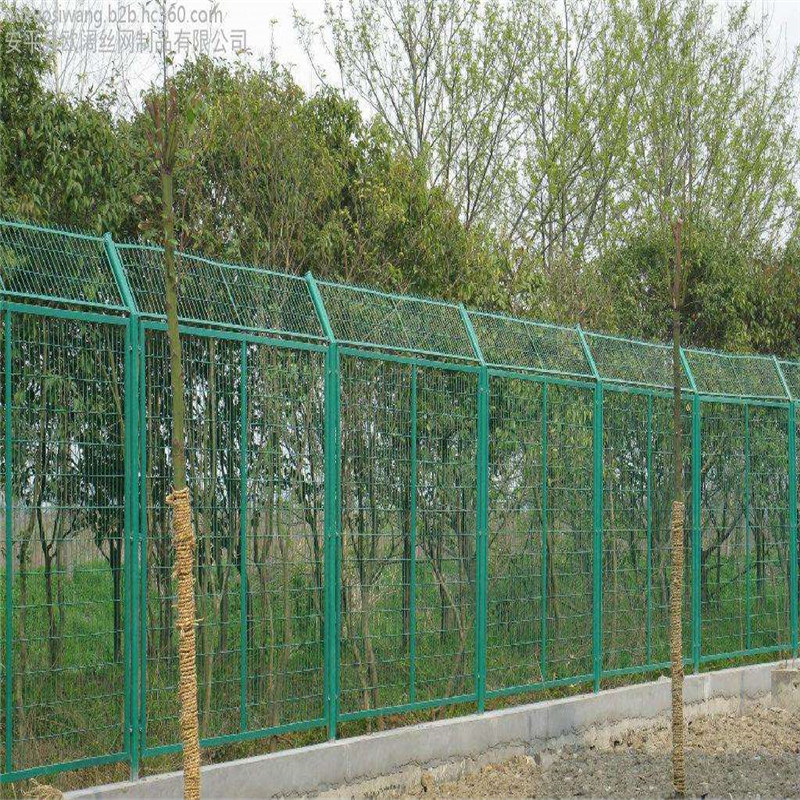 綠化帶隔離網(wǎng)圖片3
