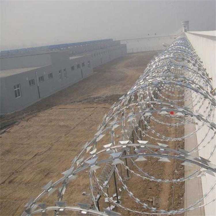 不銹鋼刀刺網圖片4