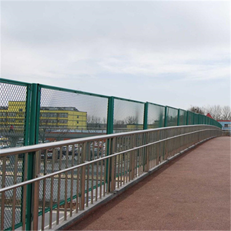 人行天橋防拋網圖片3