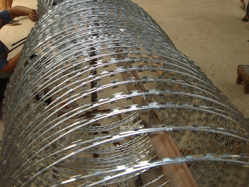 蛇腹式刀刺網鋼網墻圖片2