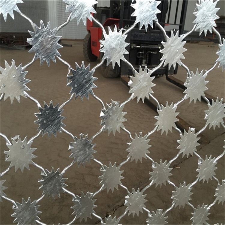 監(jiān)獄梅花刺片隔離鋼網(wǎng)墻圖片4