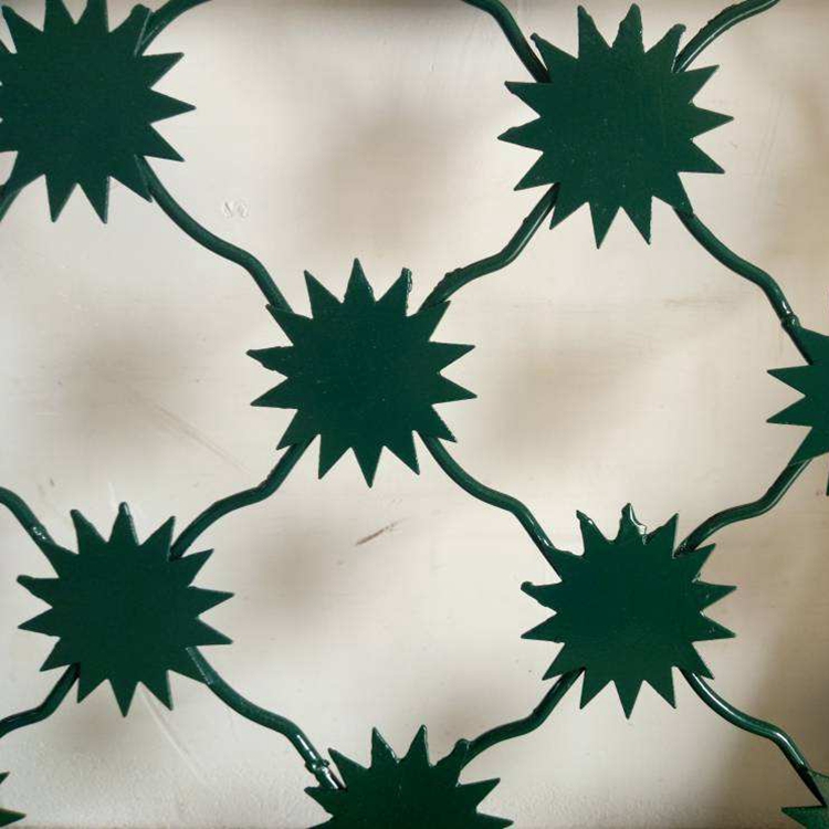 監獄梅花刺片鋼網墻圖片3