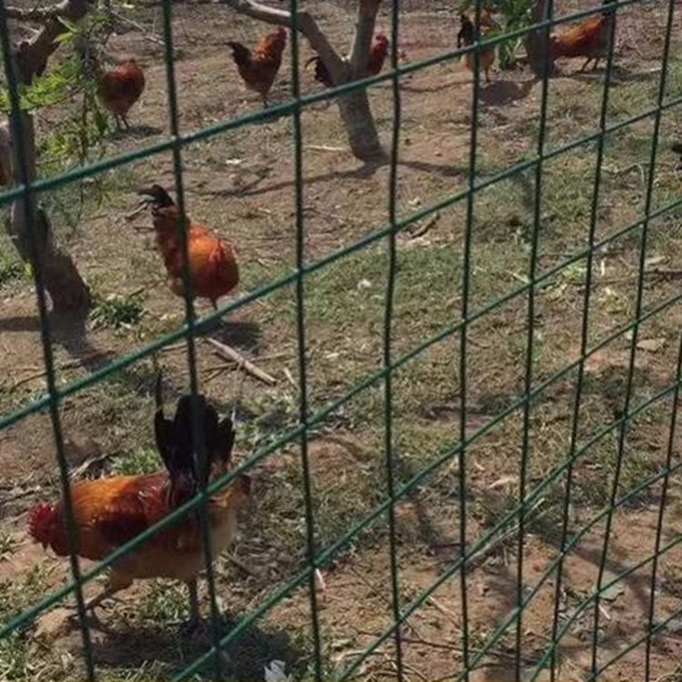 菜園果園圍養(yǎng)殖圍欄防牲畜護欄網(wǎng)圖片2