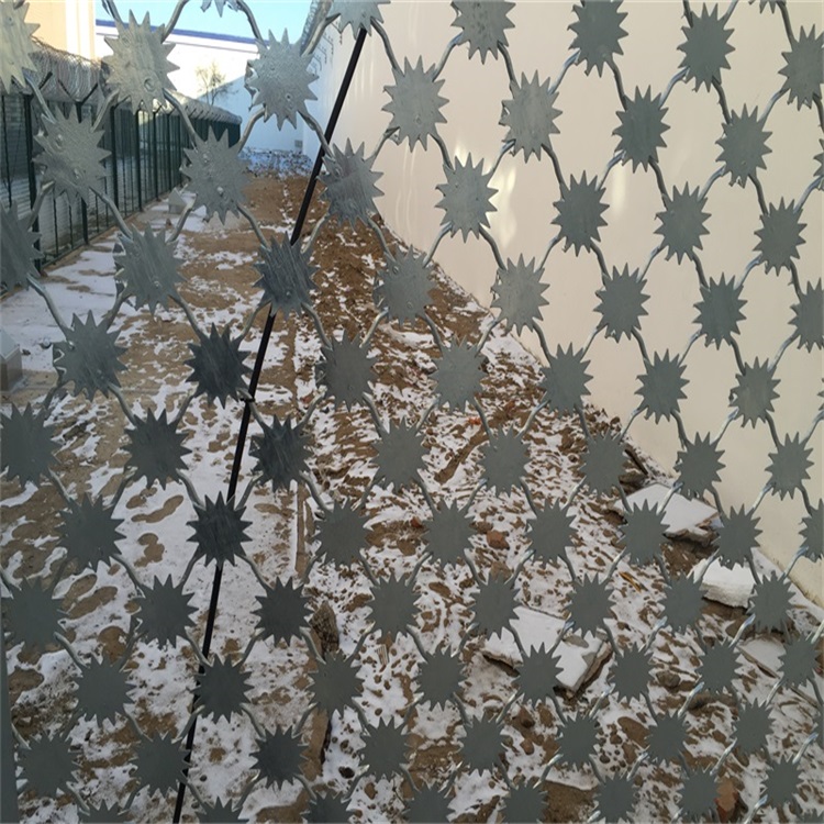 監(jiān)獄看守所鋼網(wǎng)墻圖片4